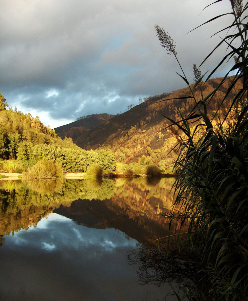 Rio Mondego IV
