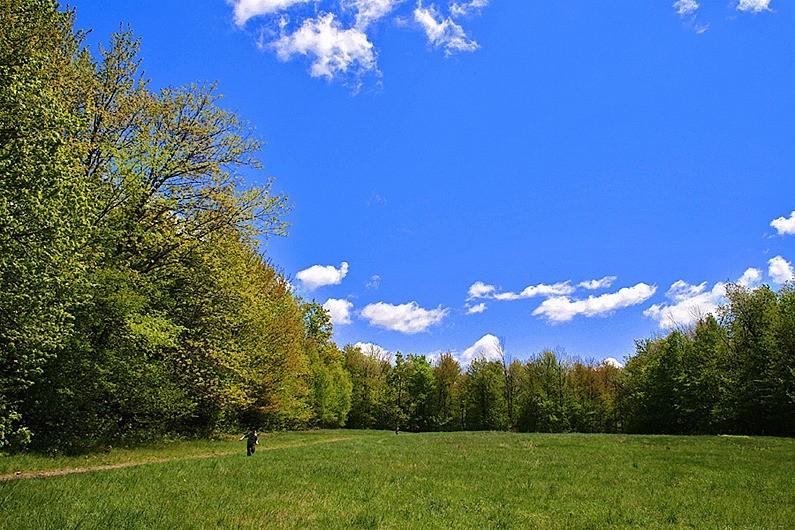 première prairie