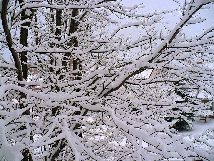 la belle neige - beautiful snow