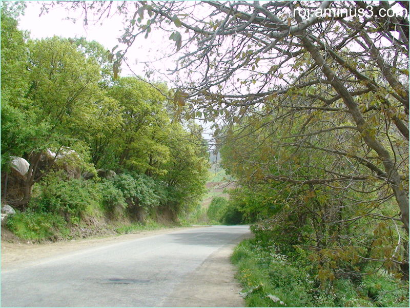 serdesht/bewran village