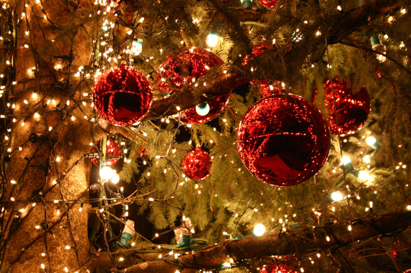 Joyeux Noël Merry Christmas
